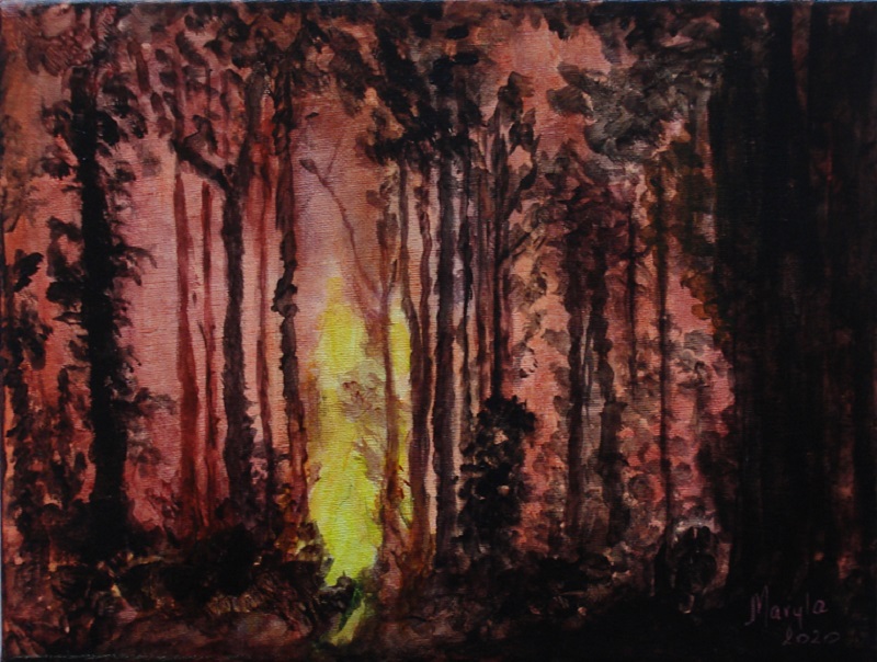 Australia Fire