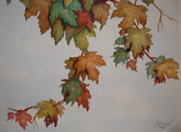 Canadian leaves