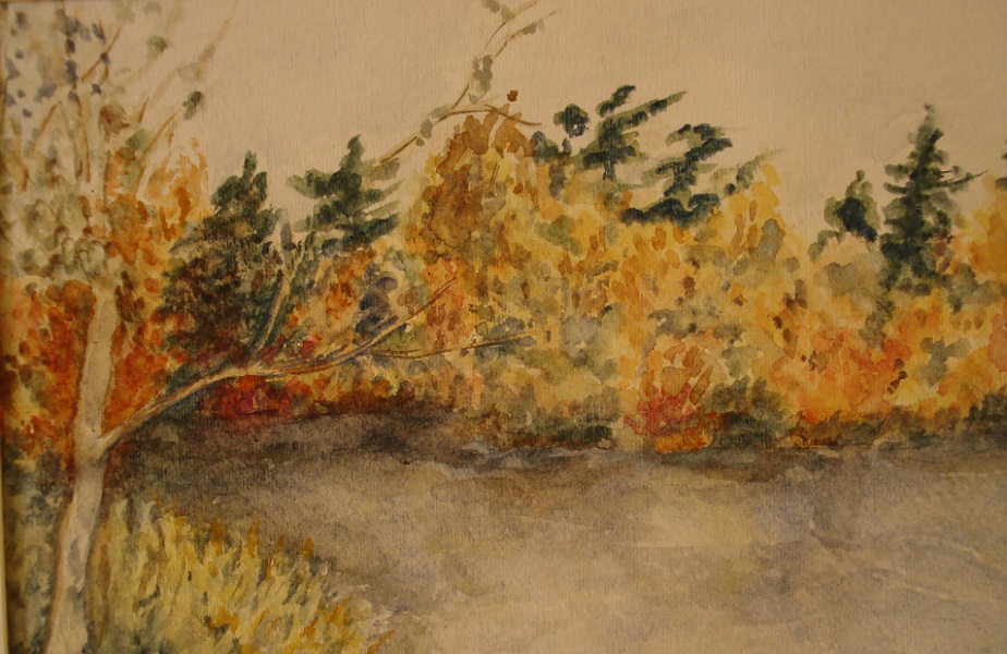 Frog pond