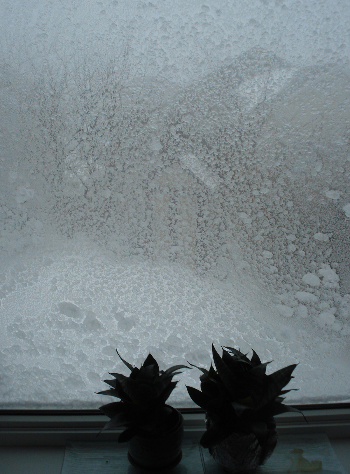 Snow on fire