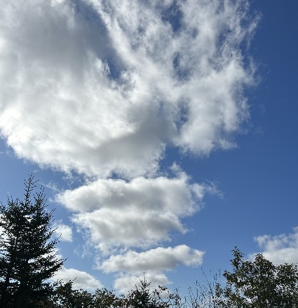 octcloud6